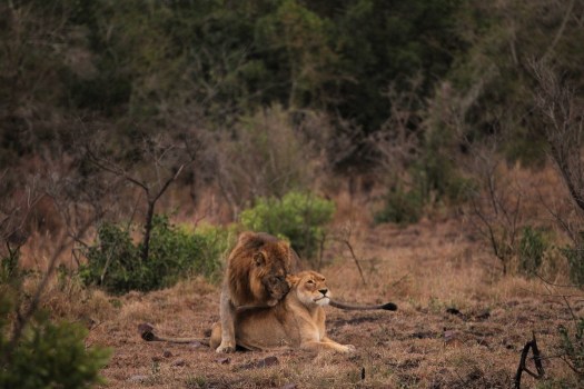 20100811 - CS2_2967 - E