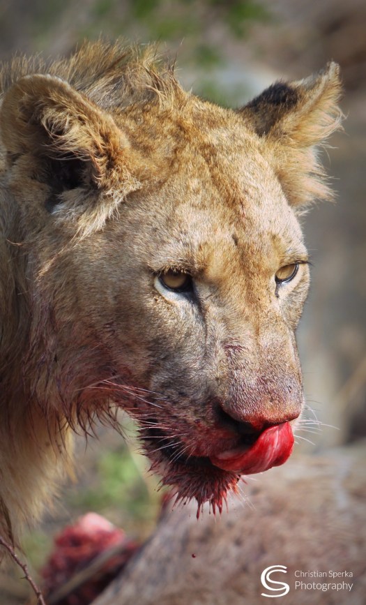 20150828 - CS1_0216 - C