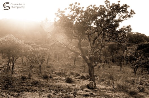 20151224 - CS2_0222 - C