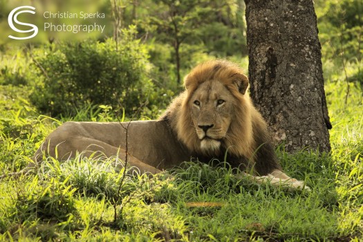 20151224 - CS2_0224 - C