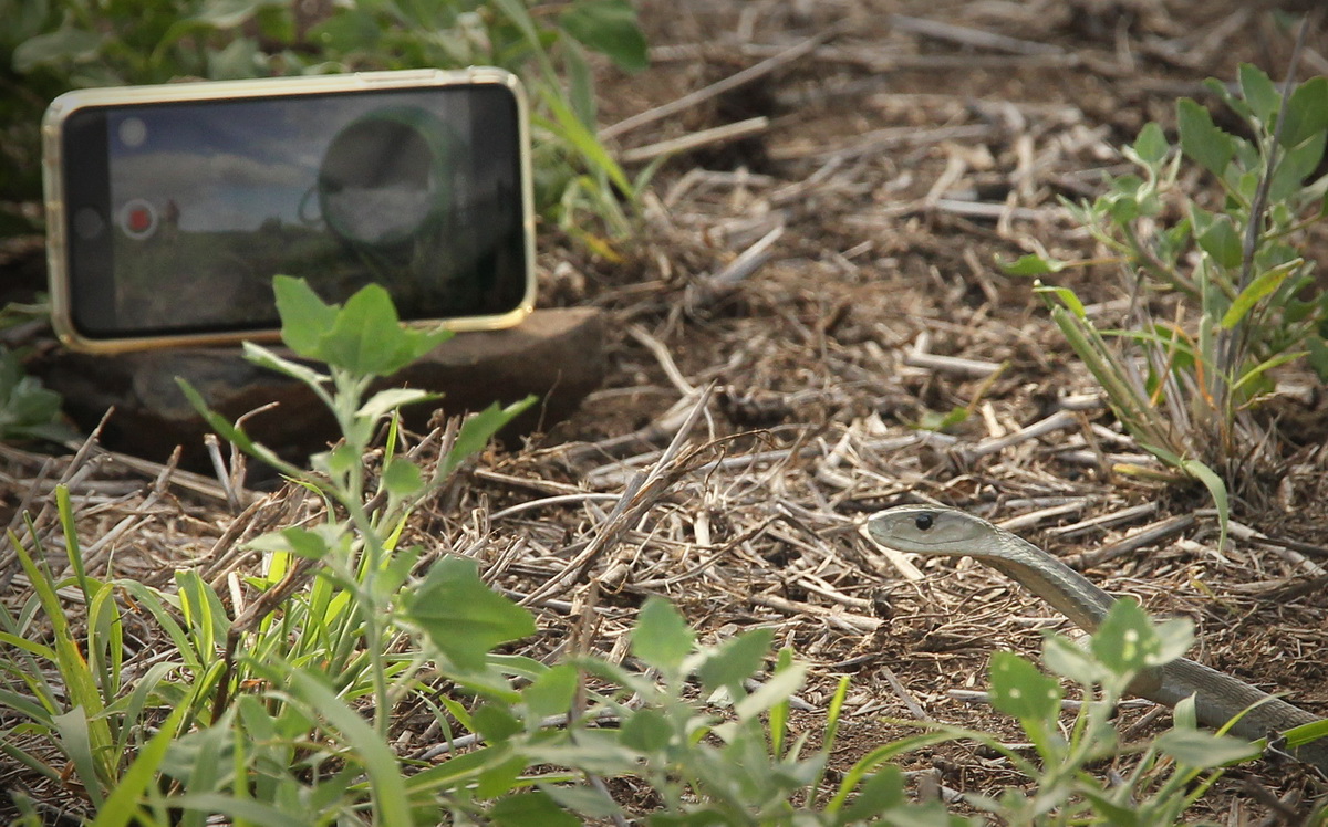 20151227 - CS2_2520 - E