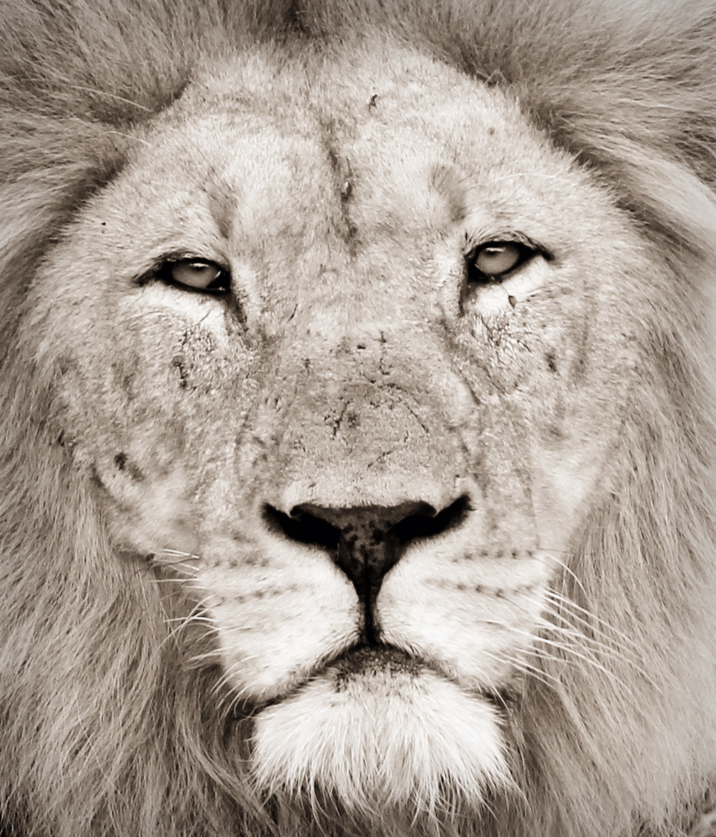 20160102 - CS2_3802 - E