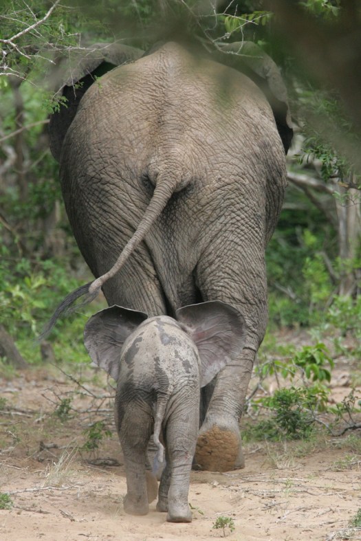 20060102 - CS0_3628 - E - 01