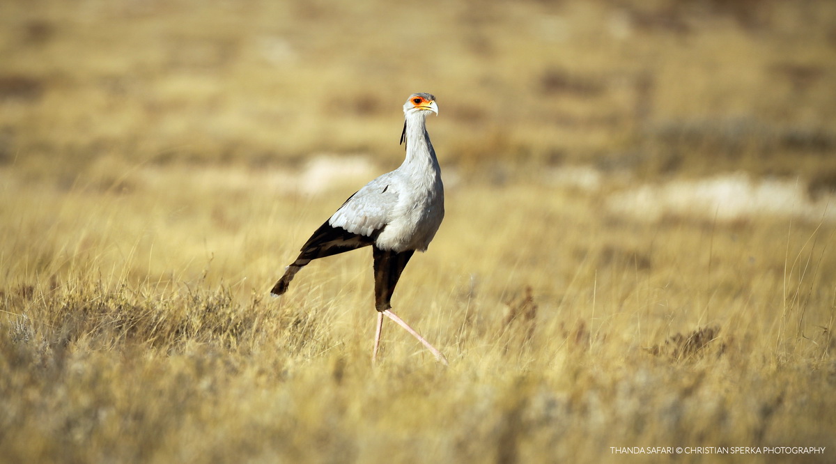 20110721 - CS1_6000 - E - 14