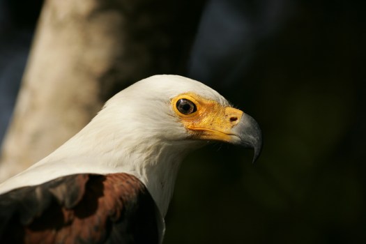 20070713 - GK4I0319 - E - 07