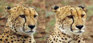 20160227 - CS0_1054 - E - 00