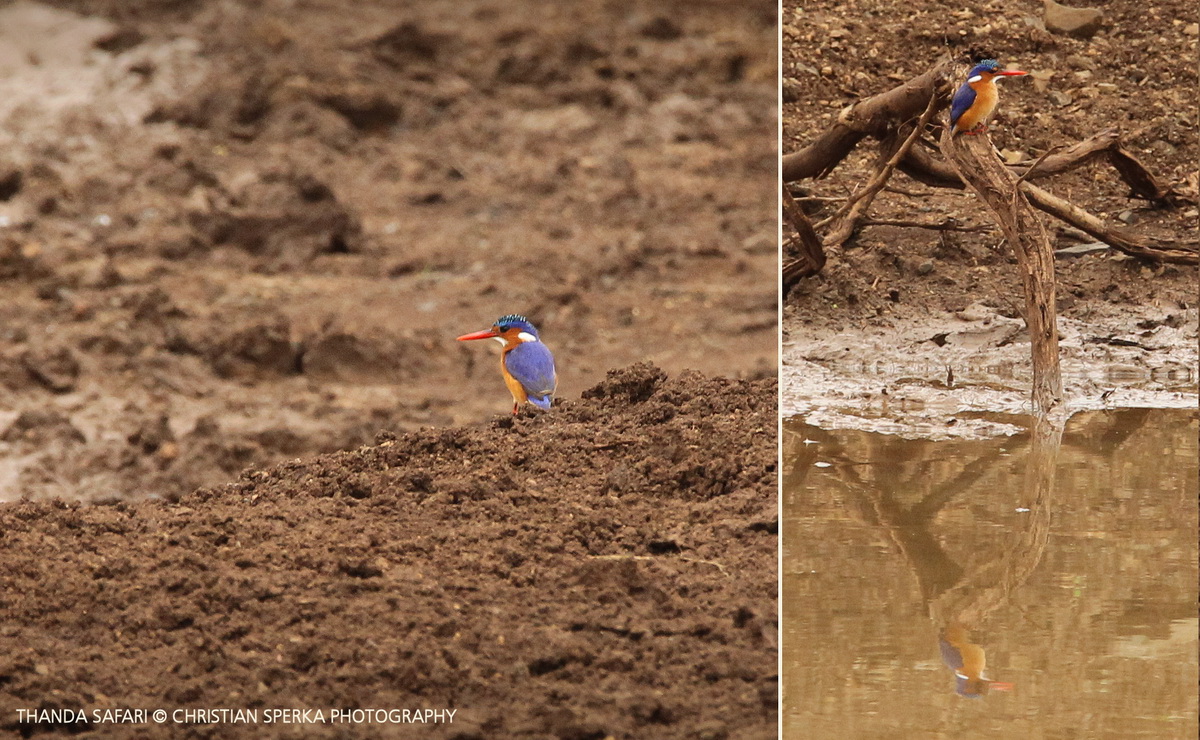 20160325 - CS3_0939 - C - 00