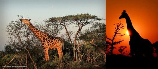 20160420 - CS0_1849 - E - 00