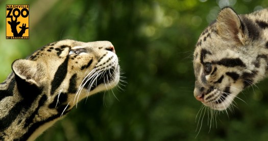 20110611 - CS0_0000 - E - 10 - Photo by Christian Sperka Photography