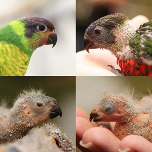 20110921 - CS0_1912 - Photo by Christian Sperka Photography