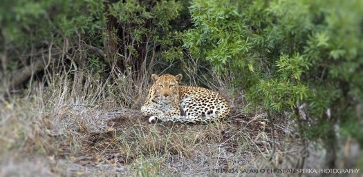 20160430 - CS3_7885 - C - 00