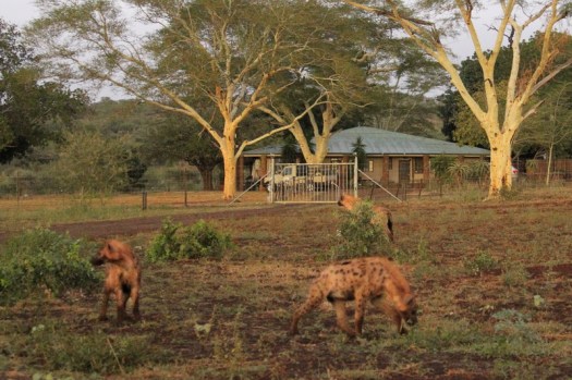 20160501 - CS3_8356 - E