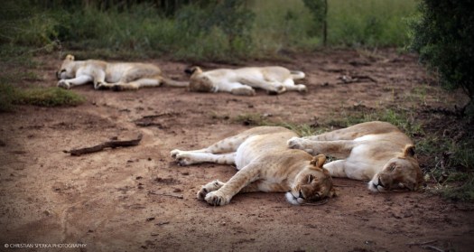 20160503 - CS3_9601 - C - 00