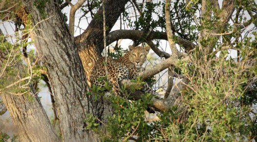 20160210 - CS3_6967 - E - 00