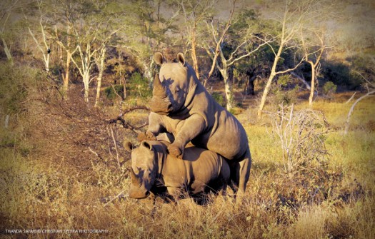 In beautiful surroundings ...