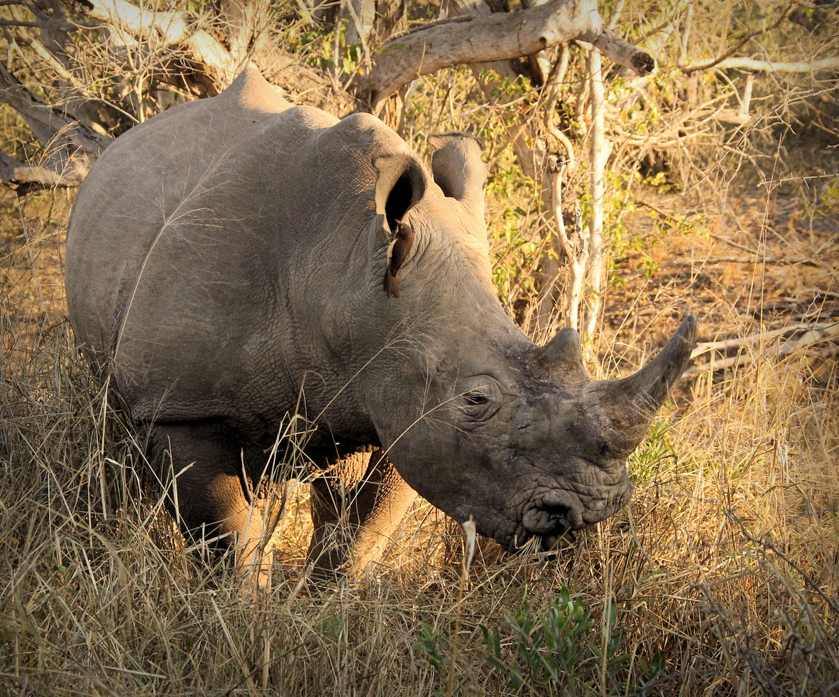 20160722 - CS1_3528 - E - 00