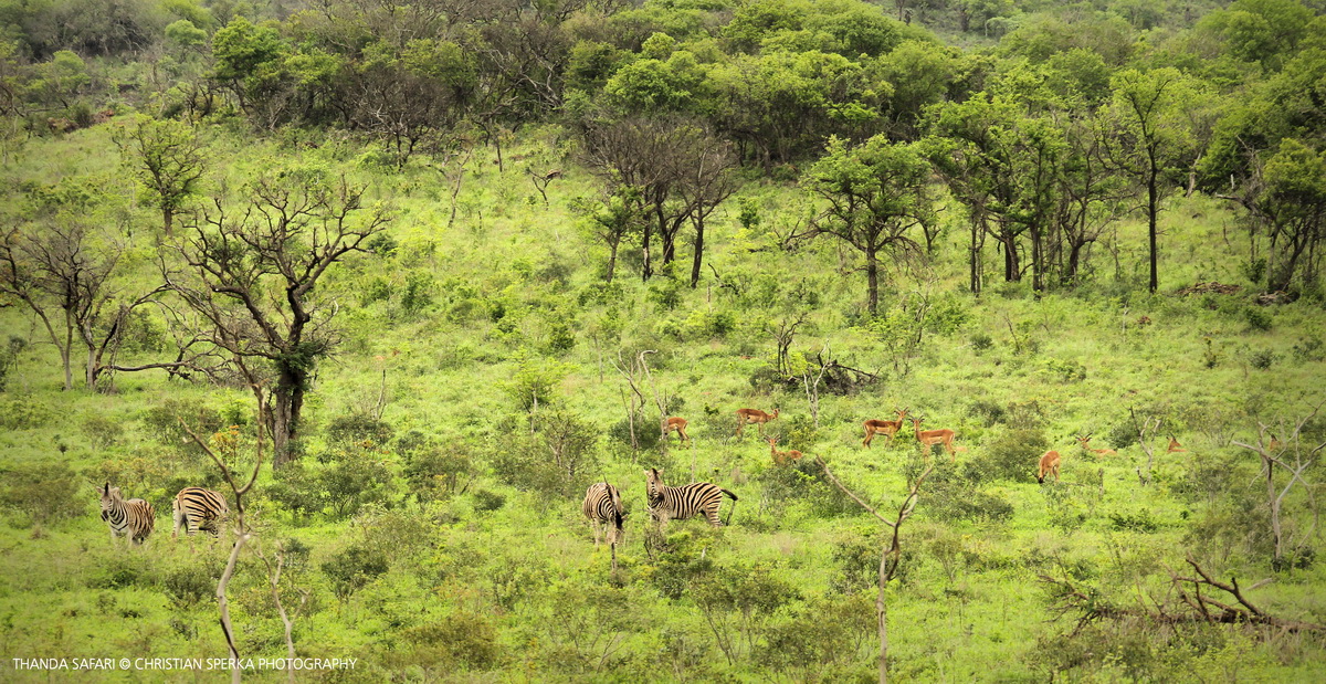 20161113-cs2_4058-e-00