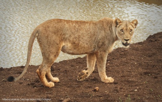 20161116-cs2_4087-e-00