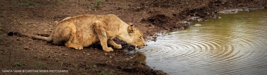 20161116-cs2_4097-e-00