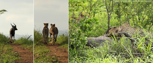 20161122-cs0_1746-e-00