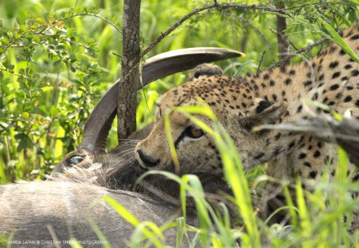 20161122-cs2_4767-e-00