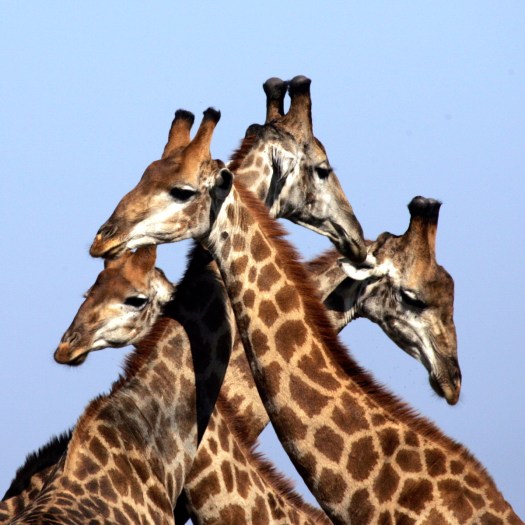 20040512-cs0_5678-e-01-photo-by-christian-sperka-photography