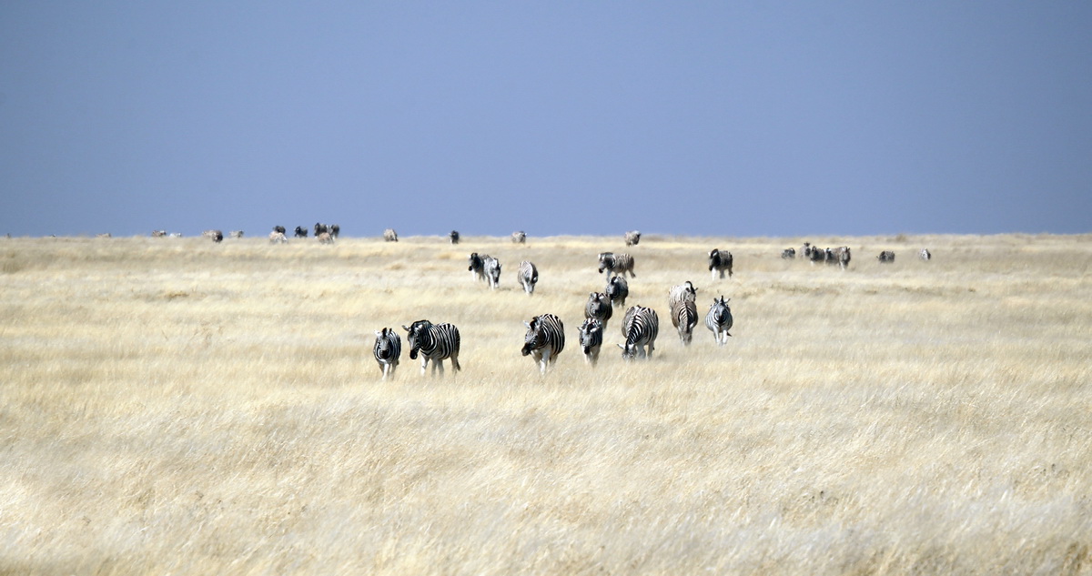 20110721-cs2_9903-e-14