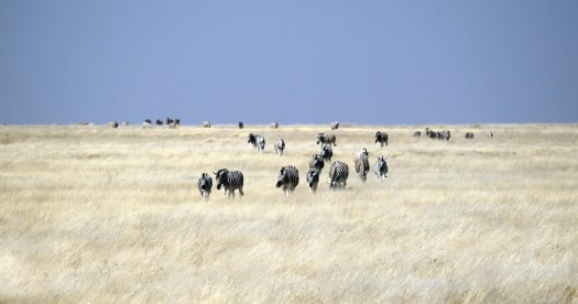 20110721-cs2_9903-e-14