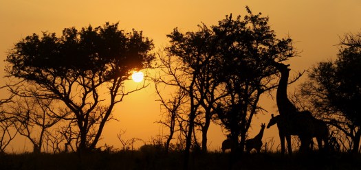 20121008-cs3_0140-e-00-photo-by-christian-sperka-photography