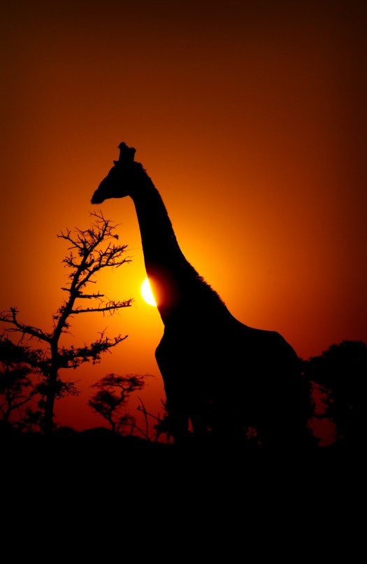 20160419-cs3_6841-e-00-photo-by-christian-sperka-photography