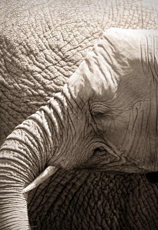 20161003-cs1_1229-e-00