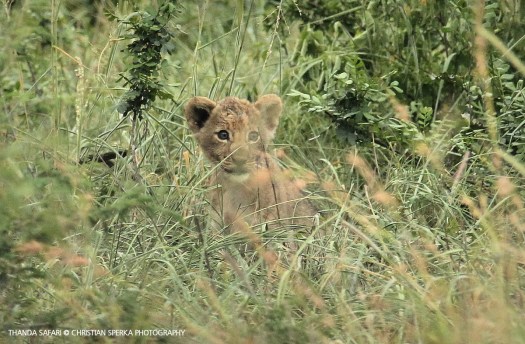 20161217-cs2_6796-e-00