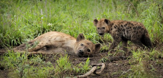 June 2016 - Curious!