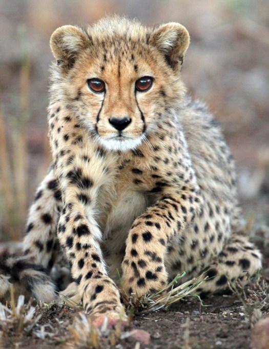 September 2016 - Wary!