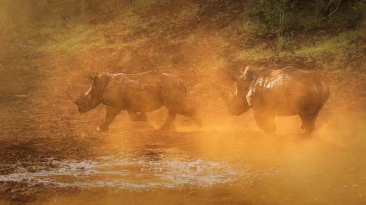 December 2016 - Chase!