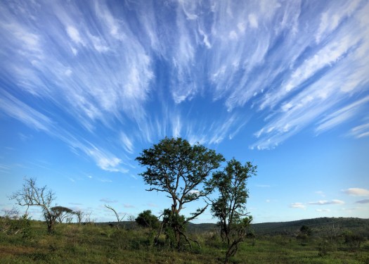 Scenery 2016 - African Sky!