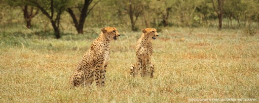 20161215-cs2_6582-e-00