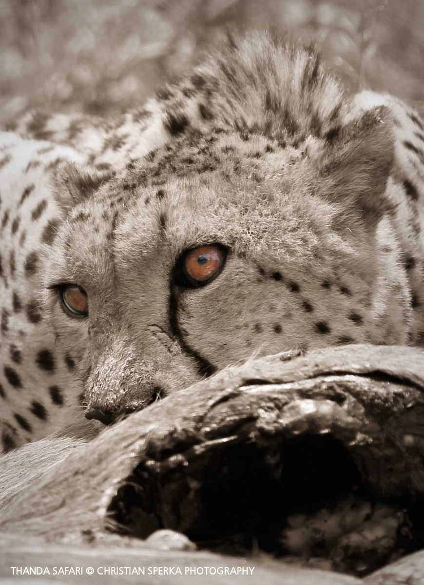 20161215-cs2_6609-e-00