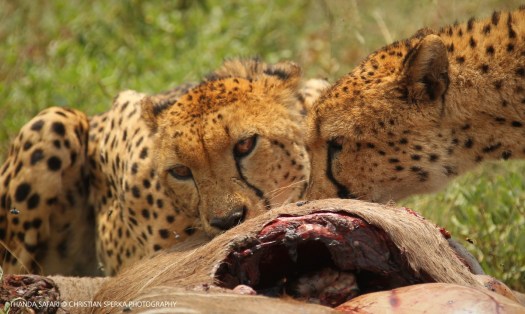 20161215-cs2_6613-e-00