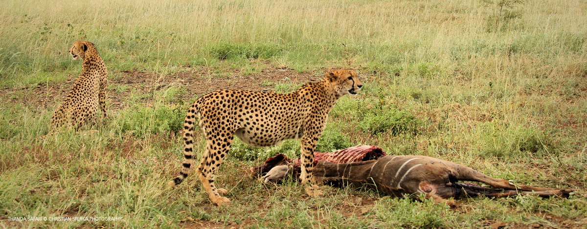 20161217-cs2_6631-e-00