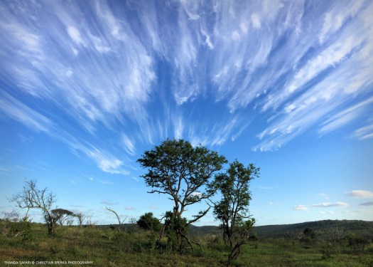 20161231-img_4593-e2-00