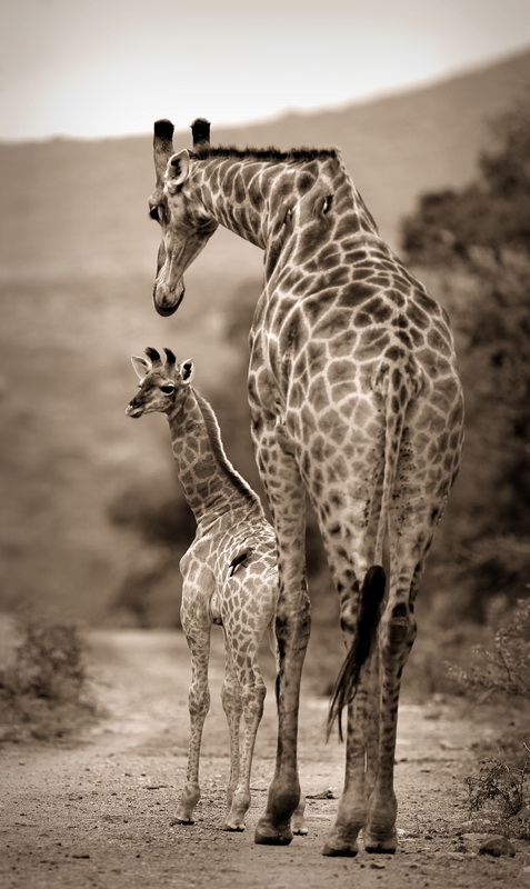 20170116-cs3_9254-e2-00