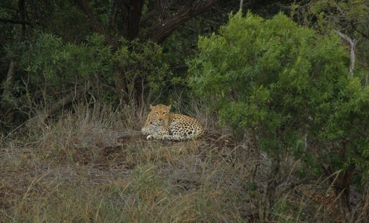 Next to the road ...