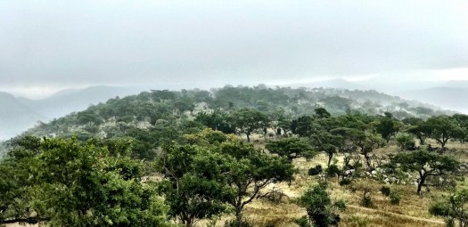 Rain over the Pakamisa mountains ...